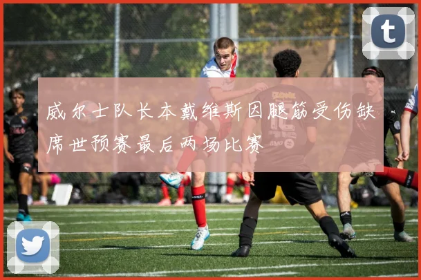 威尔士队长本戴维斯因腿筋受伤缺席世预赛最后两场比赛